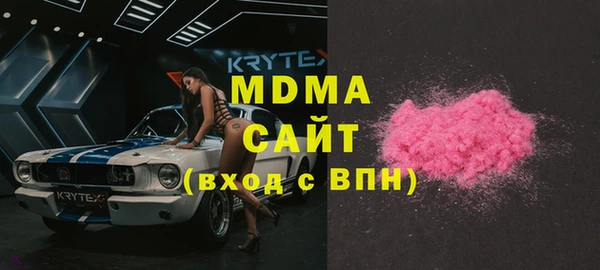 хмурый Аркадак