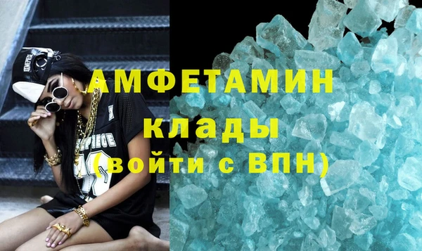 хмурый Аркадак