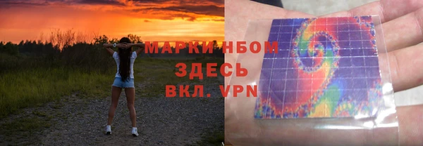хмурый Аркадак