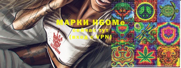 хмурый Аркадак