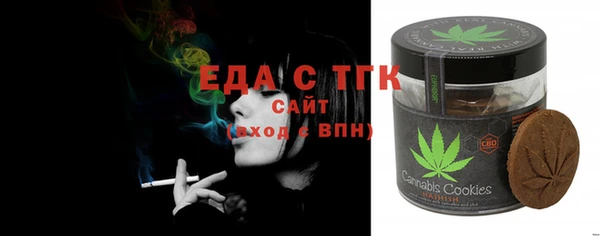 хмурый Аркадак