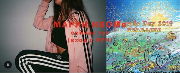 хмурый Аркадак