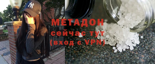 хмурый Аркадак