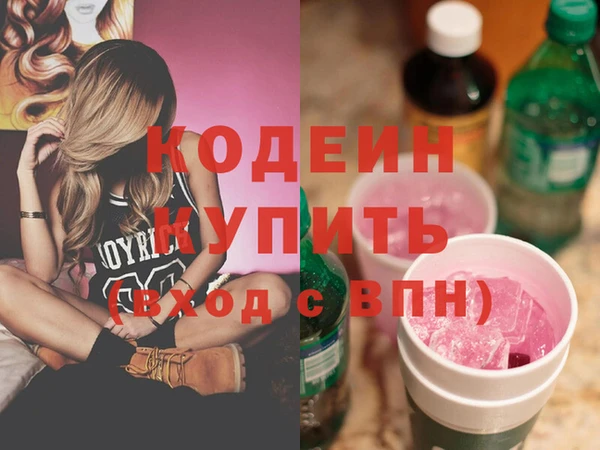 хмурый Аркадак
