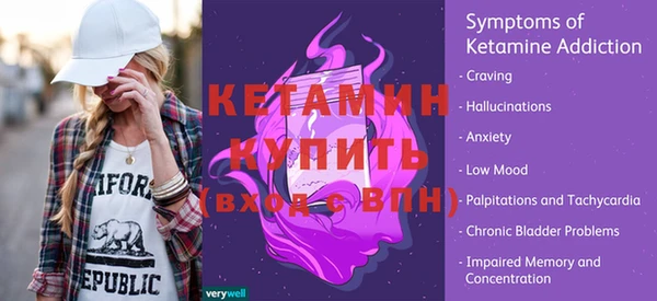 хмурый Аркадак